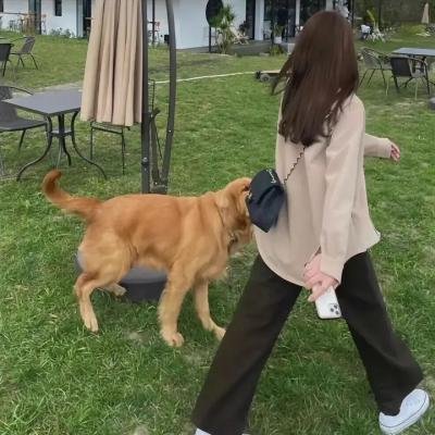 亡者之谜